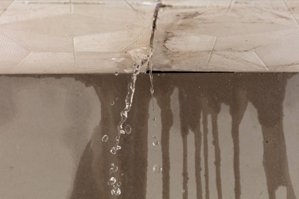 Professional Burst Pipe Cleanup technician working in Houstonia, MO